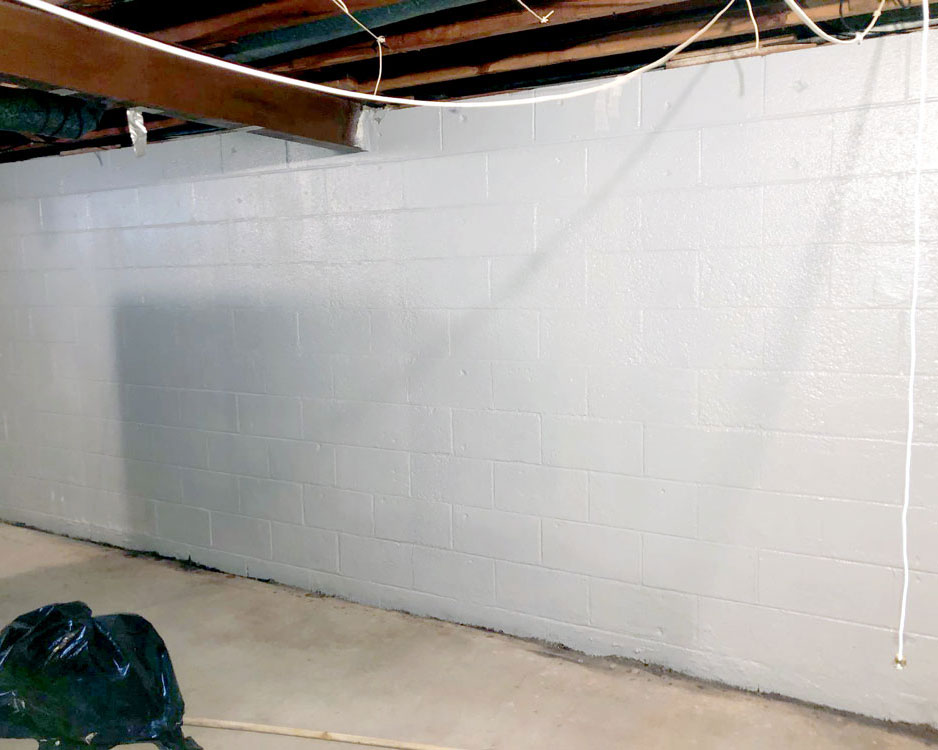 basement waterproofing, comprehensive mold management, rochester, ny