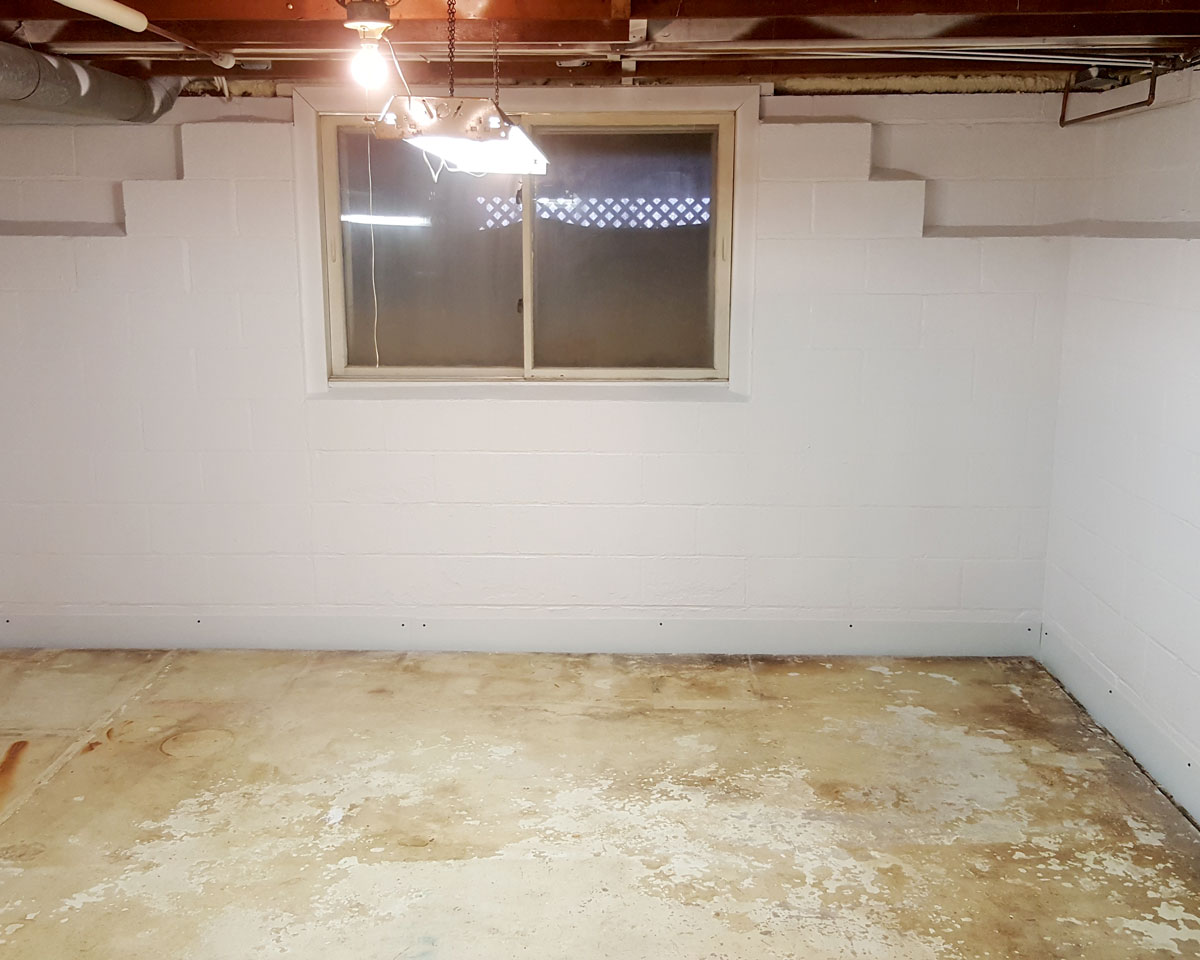 mold remediation, comprehensive mold management, rochester, ny