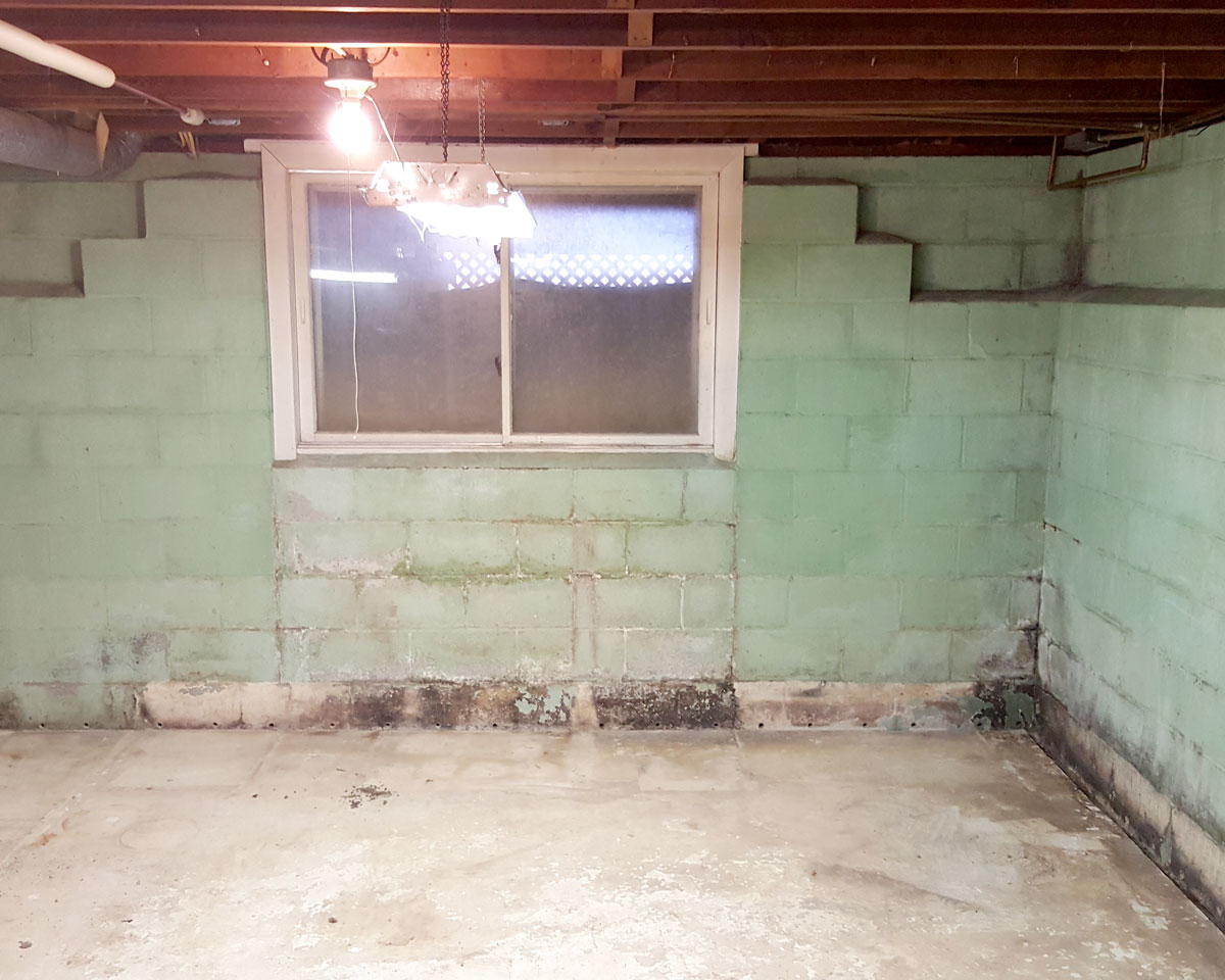 mold remediation, comprehensive mold management, rochester, ny
