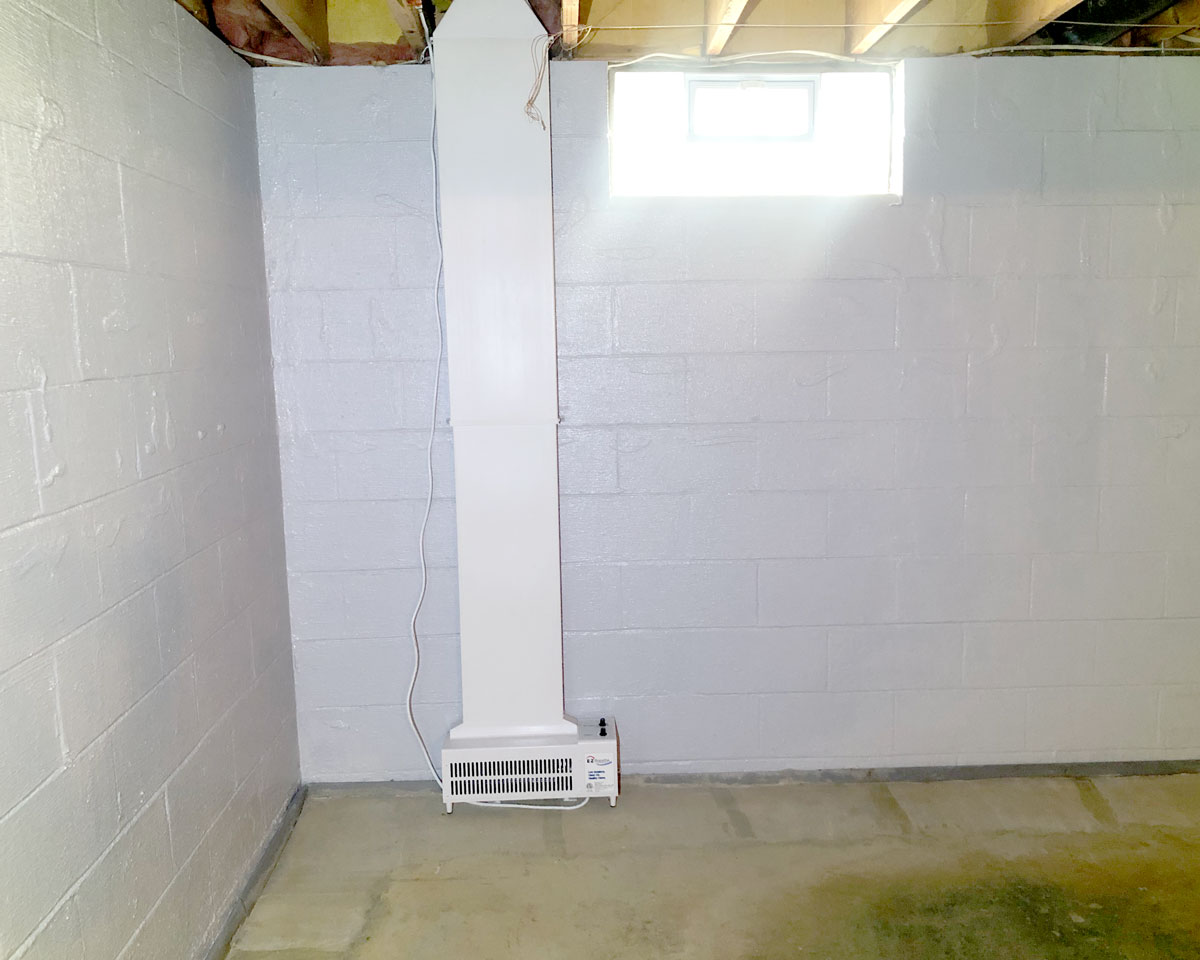 basement waterproofing, comprehensive mold management, rochester, ny