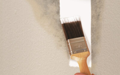 Why You Should Not Paint Over Mold