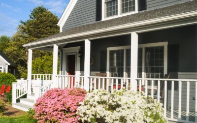 Spring Mold Prevention in Basements & Attics