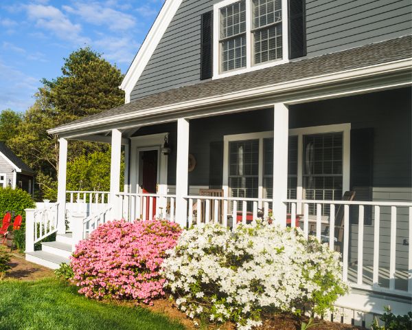 House in Spring Mold Removal