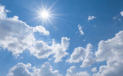 How to Prepare for Summer Mold