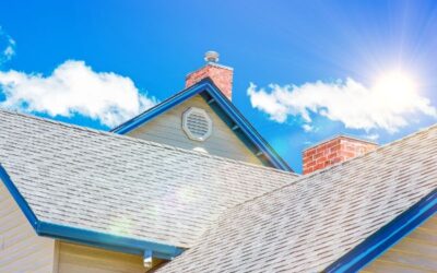 Summer Attic Mold in Upstate NY: What You Need to Know