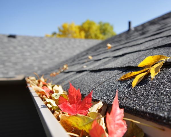 Leaves in Gutter Roof